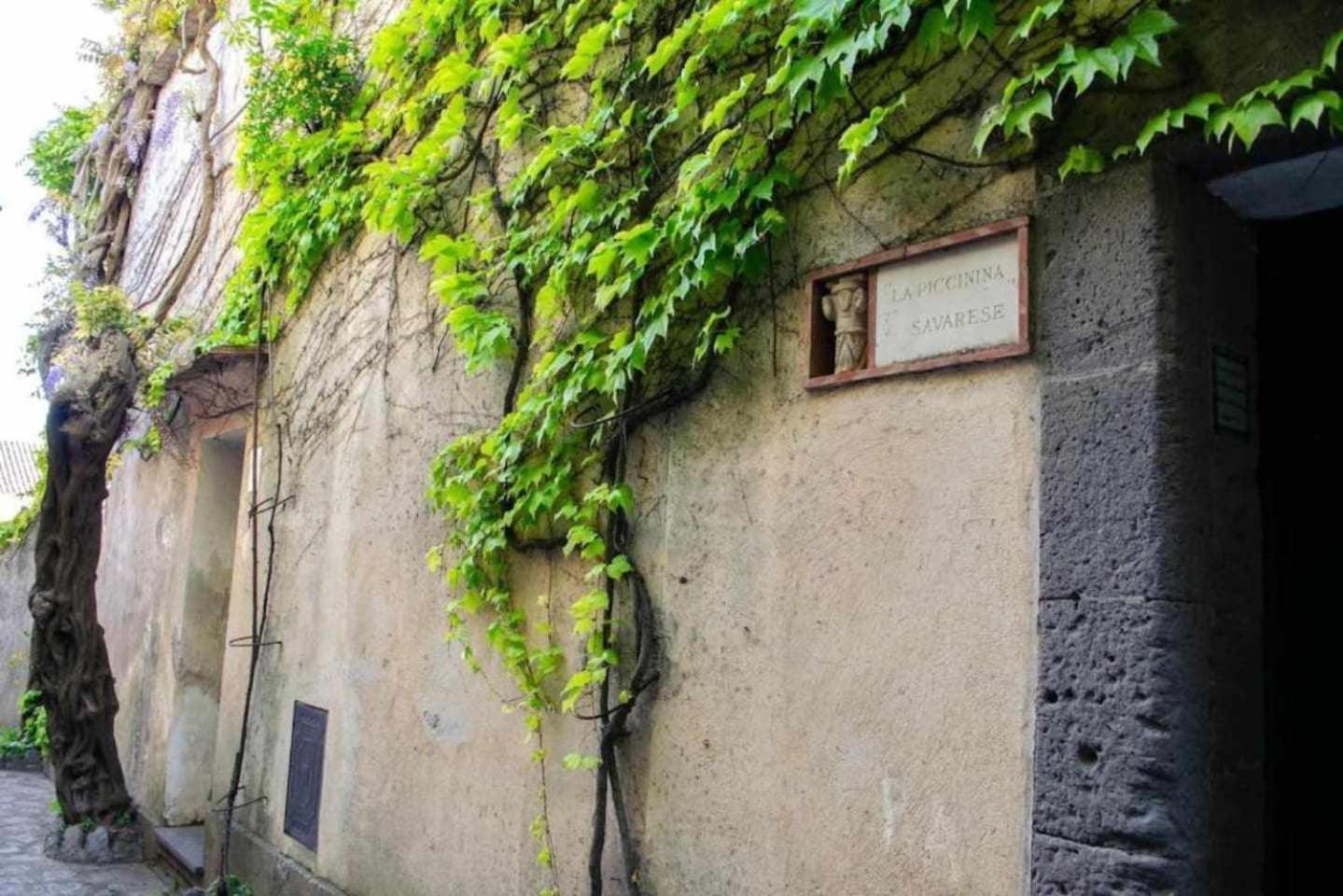 Villa Piccinina A Pochi Passi Da Villa Eva رافيلّو المظهر الخارجي الصورة